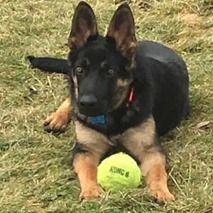 Meet your Posher, Mike